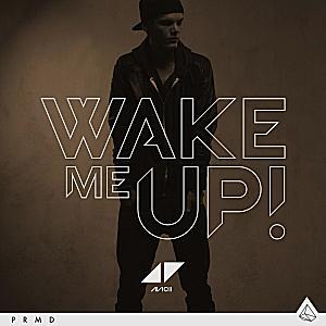 Avicii feat. Aloe Blacc - Wake Me Up
