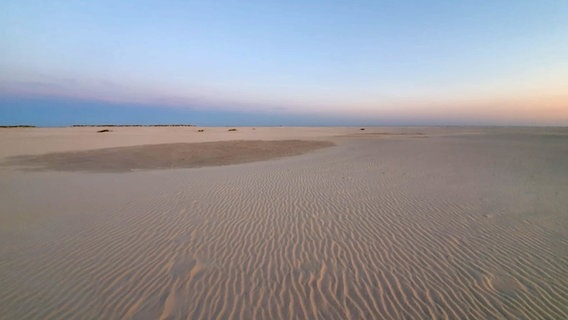 Der Sandstrand auf Amrum. © NDR/N-JOY Foto: Katharina Ratzmann