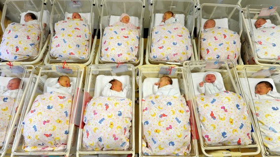 Viele Babys in ihren Bettchen. © picture alliance / dpa Foto: Waltraud Grubitzsch