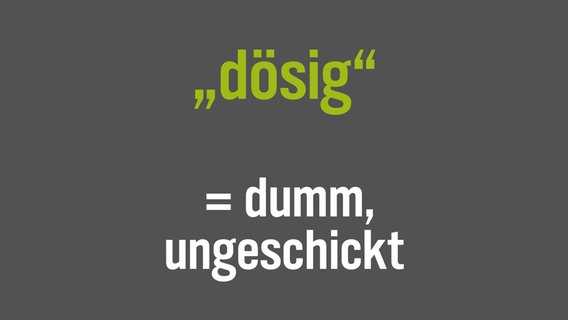 Auf einer Bildtafel steht die Übersetzung eines norddeutschen Wortes: © NDR/N-JOY 