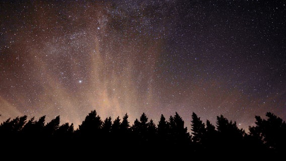 Der Sternenhimmel über einem Wald bei Nacht. © akai / photocase.de Foto: akai / photocase.de