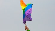 Ein Arm, der eine Fahne mit Regenbogenmuster hält. © photocase / birdys Foto: birdys