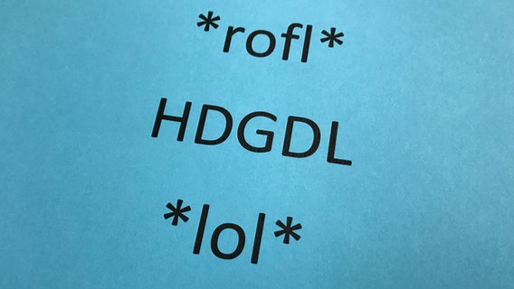 Auf einem Schild stehen die Abkürzungen "rofl", "HDGDL" und "lol". © NDR 