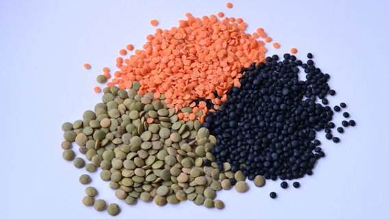 Three piles of lentils © picture alliance/WILDLIFE Photo: Harms, D./WILDLIFE