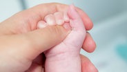 Eine Hand hält die Hand eines Babys. © picture alliance / dpa Themendienst Foto: Andrea Warnecke