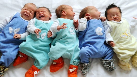 Fünf Babys liegen nebeneinander. © picture alliance / Waltraud Grubitzsch/dpa-Zentralbild/dpa Foto: Waltraud Grubitzsch