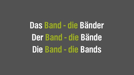 Auf grauem Untergrund steht: "Das Band - die Bänder, der Band - die Bände, die Band - die Bands". © NDR/N-JOY 