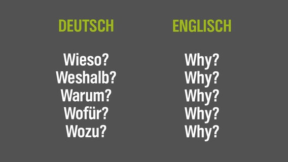 Auf grauem Untergrund stehen auf deutsch Wörter wie "Wieso", "Weshalb", "Warum", während in der englischen Übersetzung immer "Why" steht. © NDR/N-JOY 