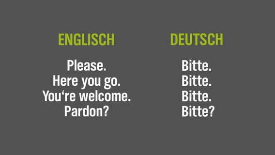Auf grauem Untergrund stehen unterschiedliche englische Übersetzungen für das Wort "Bitte". © NDR/N-JOY 
