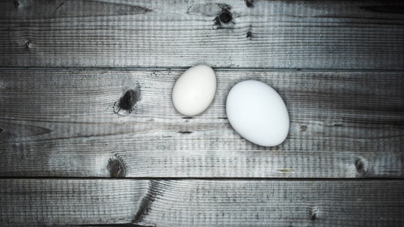 Ein großes und ein kleines Ei liegen nebeneinander. © imago/Westend61 Foto: Westend61