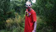 Ein als Horror-Clown verkleideter Mensch © fotolia.com Foto: nito