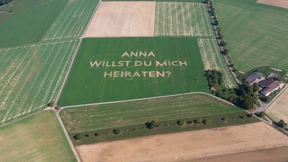 Auf einem Feld steht der Schriftzug "Anna willst du mich heiraten?" © picture alliance/Johannes Walter/dpa Foto: Johannes Walter