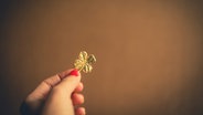 Jemand hält ein vierblättriges Kleeblatt zwischen den Fingern. © Eliza / photocase.de Foto: Eliza / photocase.de