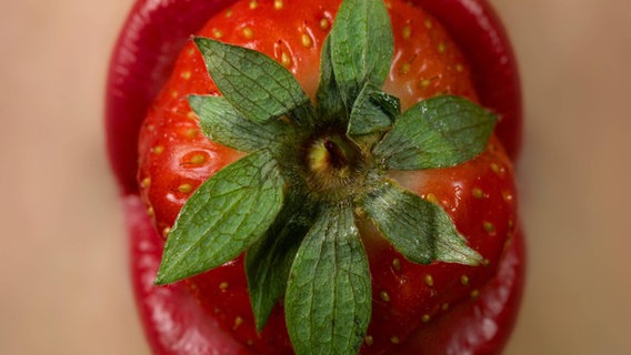 Lippen saugen eine Erdbeere an. © imago/imagebroker Foto: imagebroker