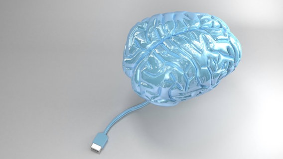 Ein Modell-Gehirn mit USB-Anschluss © imago stock&people 