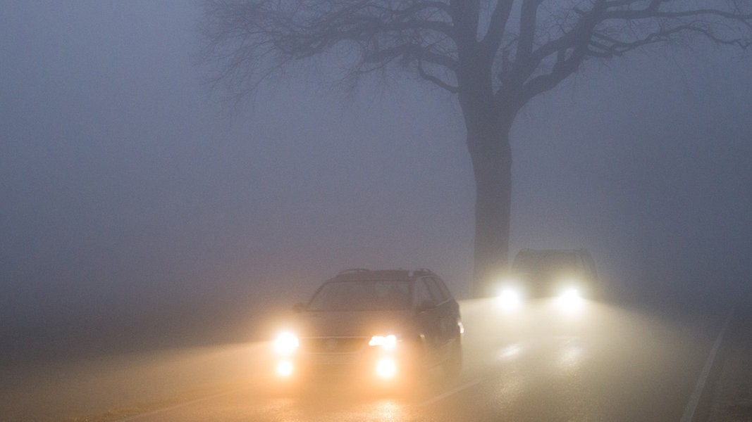 Autofahren bei Nebel: Welches Licht ihr wann einschalten solltet