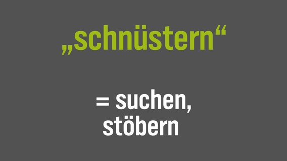 Auf einer Bildtafel steht die Übersetzung eines norddeutschen Wortes: © NDR/N-JOY 
