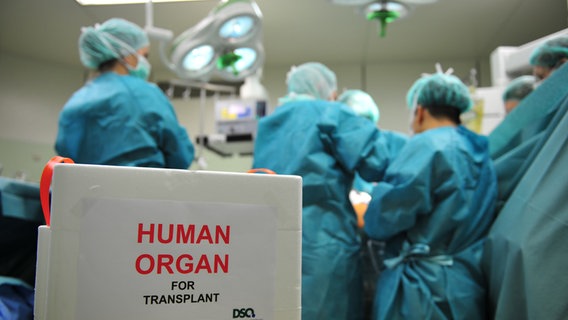 Im OP wird ein Organ transplantiert. © DSO Foto: J. Rey
