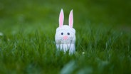 Ein gebastelter Hase im Gras. © luxuz::. / photocase.de Foto: luxuz::. / photocase.de