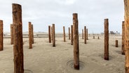 Mehrere Pfähle stecken im Sand. © joexx / photocase.de Foto: joexx / photocase.de