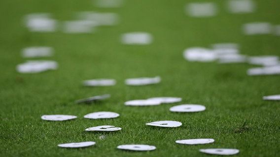 Mehrere Pilsdeckchen auf einem Fußballrasen. © picture alliance/augenklick Foto: firo Sportphoto / Christopher Ne
