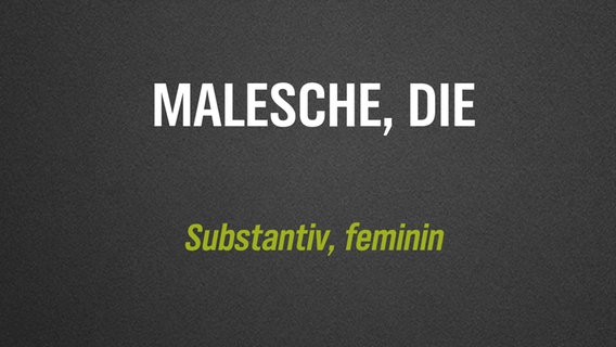 Ein selten verwendetes deutsches Wort steht auf grauem Hintergrund geschrieben: "Malesche". © NDR/N-JOY 