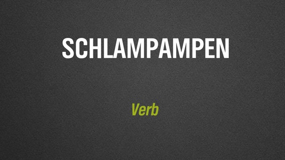 Ein selten verwendetes deutsches Wort steht auf grauem Hintergrund geschrieben: "schlampampen". © NDR/N-JOY 
