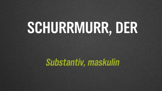 Ein selten verwendetes deutsches Wort steht auf grauem Hintergrund geschrieben: "Schurrmurr". © NDR/N-JOY 