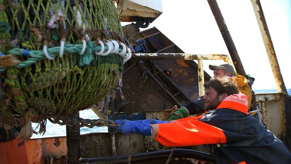 Zwei Fischer holen ein volles Fischnetz ein.  