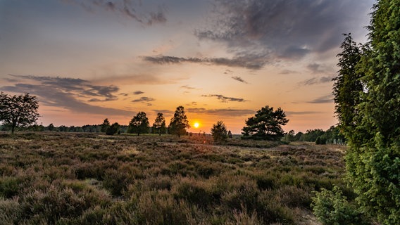Ein Sonnenaufgang in der Lüneburger Heide. © Violess / photocase.de Foto: Violess / photocase.de