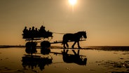 Eine Pferdekutsche im Watt bei Sonnenuntergang. © picture alliance/Mohssen Assanimoghaddam/dpa Foto: Mohssen Assanimoghaddam
