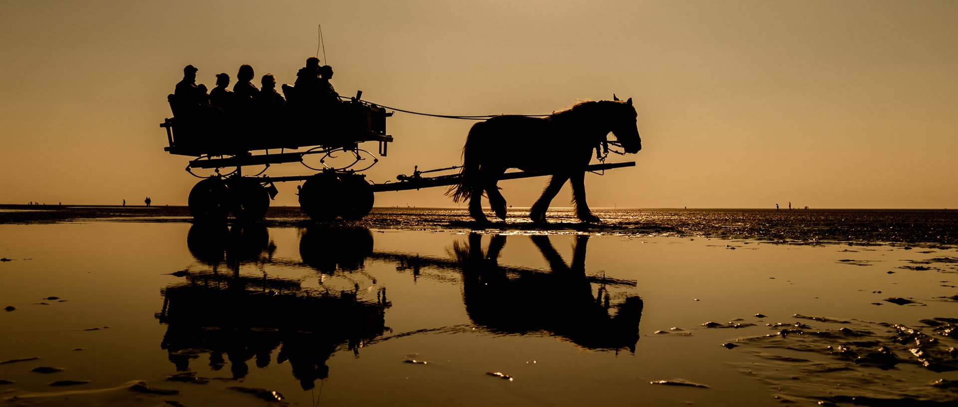 Eine Pferdekutsche im Watt bei Sonnenuntergang., © picture alliance/Mohssen Assanimoghaddam/dpaFoto: Mohssen Assanimoghaddam