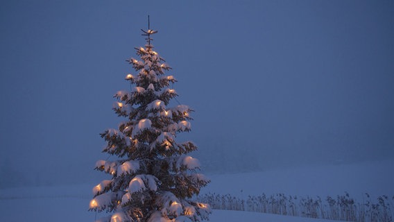 Ein Weihnachtsbaum mit Lichtern im Schnee. © Catalenca / photocase.de Foto: Catalenca / photocase.de
