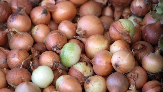 Viele Zwiebeln auf einem Haufen. © picture alliance/Soeren Stache/dpa-Zentralbild/dpa Foto: Soeren Stache