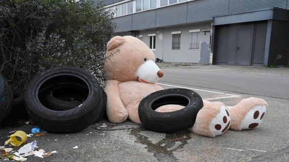 Illegal entsorgter Müll: Ein Riesenteddy und Altreifen liegen am Straßenrand. © picture alliance 