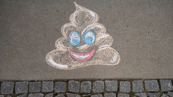 Kackhaufen Emoji mit Kreide auf den Boden gemalt. © N-JOY Foto: Dhala Rosado / Eva Köhler
