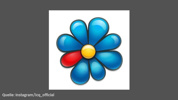 Eine blaue ICQ Blume. © instagram/icq_official 