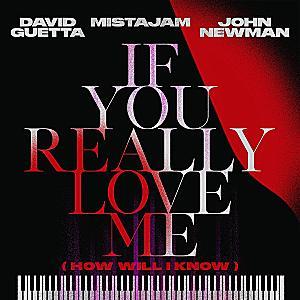 David Guetta & John Newman - If You Really Love Me (How Will I Know)