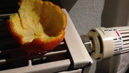 Eine Orangenschale liegt auf einem Heizkörper. © N-JOY Foto: N-JOY