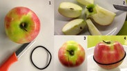 Ein Apfel wird mit Hilfe eines Haargummis zusammen gehalten. © NDR 