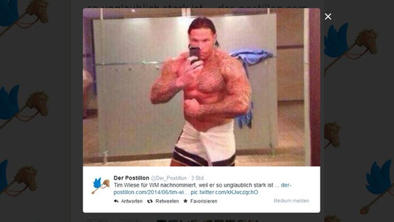 Screenshot vom Postillon-Foto-Tweet, das den Sportler Tim Wiese zeigt, wie dieser mit seinen Muskelbergen vor dem Spiegel posiert. © Postillon/Twitter Foto: Screenshot